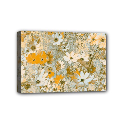 Cosmos Flowers Sepia Color Mini Canvas 6  X 4  (stretched) by DinkovaArt