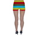 Multicolor With Black Lines Skinny Shorts View2