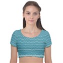 Boho Teal Stripes Velvet Short Sleeve Crop Top  View1