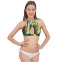 Abstract Illusion Cross Front Halter Bikini Top View1