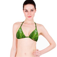 In The Forest The Fullness Of Spring, Green, Bikini Top by MartinsMysteriousPhotographerShop