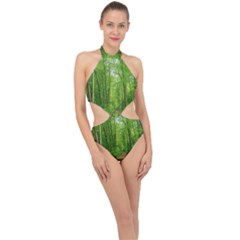 In The Forest The Fullness Of Spring, Green, Halter Side Cut Swimsuit by MartinsMysteriousPhotographerShop