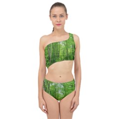 In The Forest The Fullness Of Spring, Green, Spliced Up Two Piece Swimsuit by MartinsMysteriousPhotographerShop