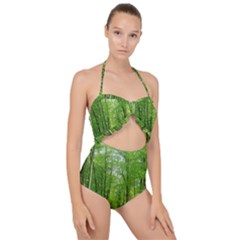 In The Forest The Fullness Of Spring, Green, Scallop Top Cut Out Swimsuit by MartinsMysteriousPhotographerShop