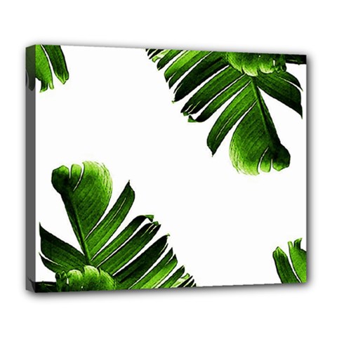 Green Banana Leaves Deluxe Canvas 24  X 20  (stretched) by goljakoff