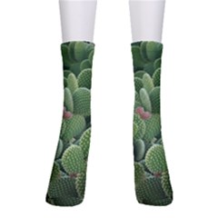 Green Cactus Men s Crew Socks by Sparkle