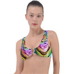 Rainbowtiger Ring Detail Bikini Top by Sparkle