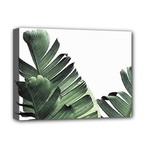 Banana Leaves Deluxe Canvas 16  X 12  (stretched)  by goljakoff