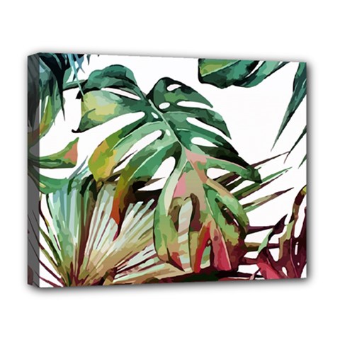 Watercolor Monstera Leaves Deluxe Canvas 20  X 16  (stretched) by goljakoff