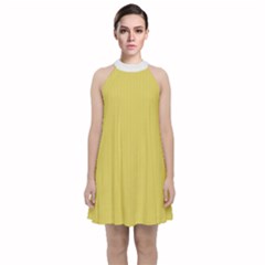 Ceylon Yellow & White - Velvet Halter Neckline Dress  by FashionLane