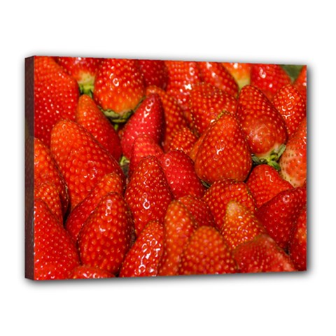 Colorful Strawberries At Market Display 1 Canvas 16  X 12  (stretched) by dflcprintsclothing