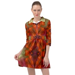 Landscape In A Colorful Structural Habitat Ornate Mini Skater Shirt Dress by pepitasart