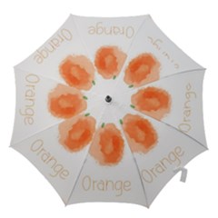 Orange Fruit Watercolor Painted Hook Handle Umbrellas (small) by Mariart