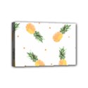 Pineapple pattern Mini Canvas 6  x 4  (Stretched) View1