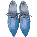 Online Woman Beauty Blue Pointed Oxford Shoes View1