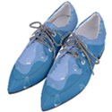 Online Woman Beauty Blue Pointed Oxford Shoes View2