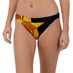 Yellow Poppies Band Bikini Bottom by Audy