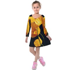 Yellow Poppies Kids  Long Sleeve Velvet Dress by Audy