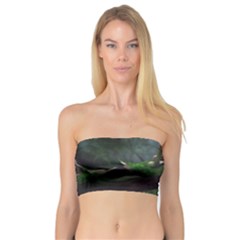 Wooden Child Resting On A Tree From Fonebook Bandeau Top by 2853937