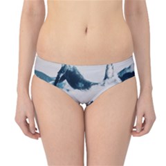 Blue Whale In The Clouds Hipster Bikini Bottoms by goljakoff