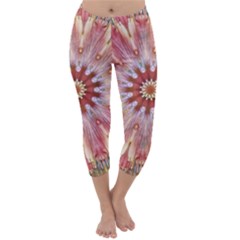 Pink Beauty 1 Capri Winter Leggings  by LW41021