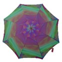 Color Winds Hook Handle Umbrellas (Small) View1