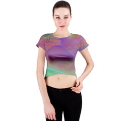 Color Winds Crew Neck Crop Top by LW41021