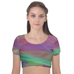 Color Winds Velvet Short Sleeve Crop Top  by LW41021