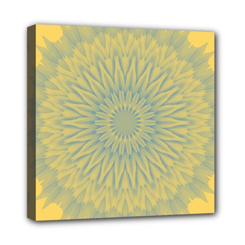 Shine On Mini Canvas 8  X 8  (stretched) by LW41021