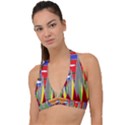 Forrest Sunset Halter Plunge Bikini Top View1