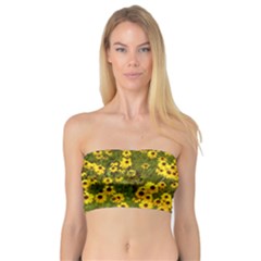 Daisy May Bandeau Top by LW323