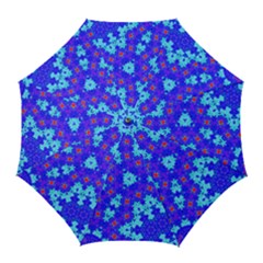 Blueberry Golf Umbrellas by LW323