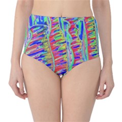 Vibrant-vases Classic High-waist Bikini Bottoms by LW323