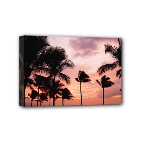 Palm Trees Mini Canvas 6  X 4  (stretched) by LW323