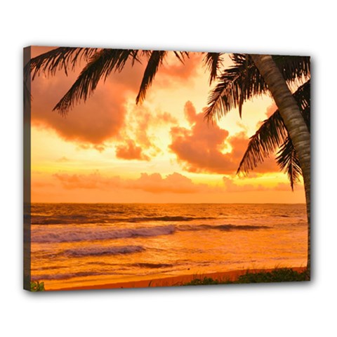 Sunset Beauty Canvas 20  X 16  (stretched) by LW323