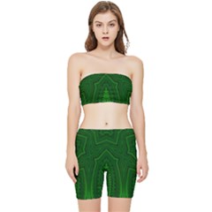 Freshspring3 Stretch Shorts And Tube Top Set by LW323