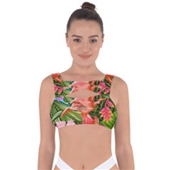 Exotisme Bandaged Up Bikini Top by SoLoJu