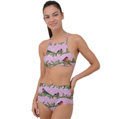 Bullfinches Sit On Branches On A Pink Background High Waist Tankini Set by SychEva