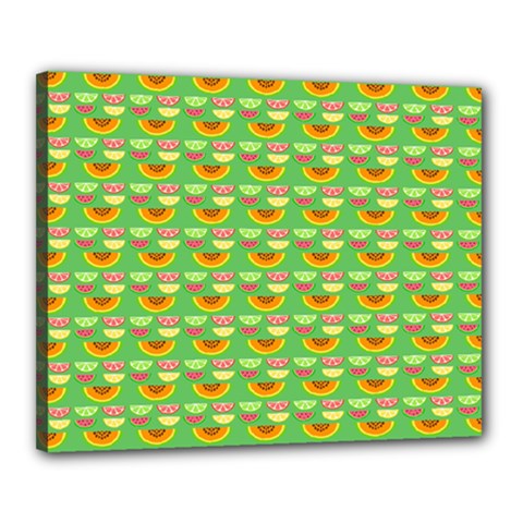 Fruits Canvas 20  X 16  (stretched) by Sparkle