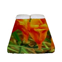 Orange On The Green Fitted Sheet (full/ Double Size) by DimitriosArt