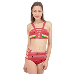 Painted Watermelon Pattern, Fruit Themed Apparel Cage Up Bikini Set by Casemiro