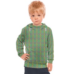 Found It Kids  Hooded Pullover by Sparkle