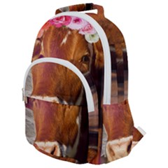 Picsart 22-03-21 13-33-20-883 Rounded Multi Pocket Backpack by jellybeansanddinosaurs