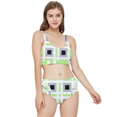 Agender Flag Plaid Frilly Bikini Set by WetdryvacsLair