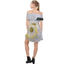 Lemon Sorbet Off Shoulder Chiffon Dress View2