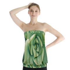 Echeveria Imbricata Closeup Photo Strapless Top by dflcprintsclothing