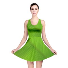 Banana Leaf Reversible Skater Dress by artworkshop