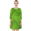 Banana Leaf Smock Dress View1