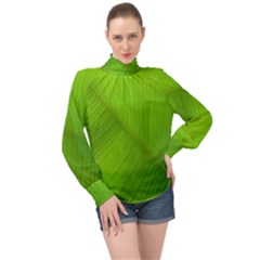 Banana Leaf High Neck Long Sleeve Chiffon Top by artworkshop