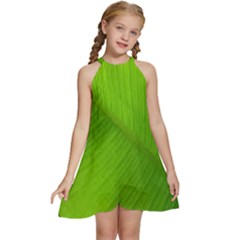 Banana Leaf Kids  Halter Collar Waist Tie Chiffon Dress by artworkshop